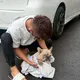 影/屏東法鬥滿身壁蝨雨中慘死！　飼主涉虐待動物遭調查