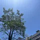 不流汗更危險！醫揭「中暑4大警訊」延誤恐致命