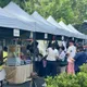 花蓮「光復稻香節」端午拚觀光！台糖冰店喜見超長人龍