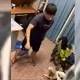 高雄高材生虐燒40倉鼠！酒精點火、竹籤穿肚　辣毒手法曝