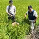 拒捕撞傷2員警！台中毒犯遭查出「另涉槍枝案」 收押