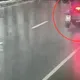 影/暴雨狂炸北市路樹倒塌　機車騎士險遭擊中