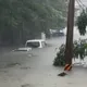 影/怵目驚心！高雄大寮滯洪池周邊成汪洋　整排轎車慘遭滅頂