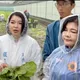 暴雨重創雲林！葉菜類災情慘重　張嘉郡：爭取天然災害補助