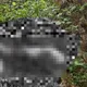 彰化芬園保鮮膜女屍案大轉折！主嫌籌不出保金「改羈押禁見」