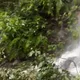 從業30年最嚴重！蝴蝶谷山難釀4死　搜救員：遺體頭垂晃動