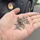 影/國1「暗器」大規模破壞！多車輪胎慘毀「竟都是同一路段」