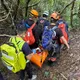 新北貢寮山區「蜂群攻擊30多人」！4人緊急送醫