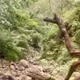 嘉義梅山驚傳死亡意外　男子跌落10米深谷慘死