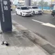 捷運三鶯線天降巨型排水管　機車遭砸中騎士險慘摔