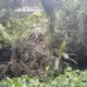 暴雨生吞民宅？新莊驚傳「山崩土石流」　直衝社區嚇壞住戶
