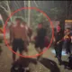影/新北烏來紅河谷3人受困攔沙壩　警消及時趕抵救出