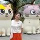 馬毓芬二登關子嶺！深情獻唱亡兄馬兆駿3經典　罕曝婚後近況