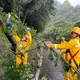 巴威襲台害24萬戶停電　台電：連日搶修復電率超過95%