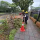 台北防颱修樹遭批　粉專諷青鳥：顏色對了樹就不重要