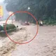 嘉大女學生新竹遇暴漲泥水頭卡護欄亡　校方：悲痛不捨