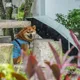 颱風才剛走！西南風挾水氣　大台北、西半部山區15日防大雨