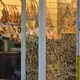 音樂行負責人登記剛改妹夫　陽明交大教授當天闖入砍殺