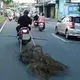 影/鳳山機車拖「超大綑鐵條」噴火星　騎士怒：別出來害人