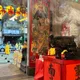 青山宮爆虐貓!拿小喵過爐「被網友轟爛」 廟方急道歉