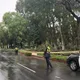 雷神狠劈!北市總統官邸附近路樹轟然倒下 幸無人受傷