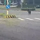 影/北投迷你馬又逃了！3度闖馬路逛大街　騎士傻眼：又是牠