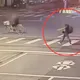 影/萬華無人商店接連遭同一人洗劫　警2天內速逮竊嫌