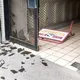 屏東地檢署被攻擊!狂男持拒馬丟擲砸碎大門