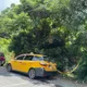 北投貴子坑露營場命案!運將胸口中刀慘死車內