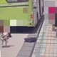 影/北車「台男追打菲女還砸壞公車站螢幕」！美籍男阻止爆扭打
