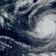 白海豚颱風結構改善 恐吞掉「無緣的鯨魚颱風」