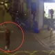 影/搭訕婦人誆「妳500元掉了」　板橋男趁隙搶奪秒遭逮