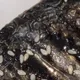影/ 超噁！竹北吃丼飯烤鯖魚竟爬滿蛆　店家回應了