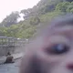 獼猴變「檢舉達人」！陽明山餵猴現場遭牠神角度拍下　違規民眾恐挨罰