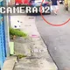 影/鎢業董座遭虐殺前員工落網羈押　開車逃亡畫面曝光