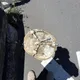 漢光演習首日戰車零件掉落！陸軍：螺絲鬆脫、將強化檢查