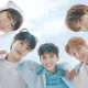 日新人男團VIBY出道2個月攻武道館！推Fan Song告白：終於找到你