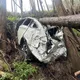 失蹤5個月尋獲！新竹60歲男山谷墜車成白骨　警方報請相驗