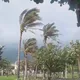 8級強陣風殺到　12縣市強風特報颳到明晚