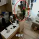 影/屏東噁男狂問美容店「有做全套嗎」　恐吞1.2萬罰單或拘留