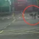 影/新莊當街摔角掛彩　2男辯重溫同窗回憶仍遭法辦