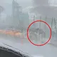 影/白海豚颱風強襲北台灣！石牌整輛YouBike被吹飛　網友：以為是AI