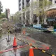 白海豚襲台北市災情最新！多個行政區「路樹接連倒塌」