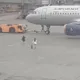 錯過班機竟衝上停機坪!俄羅斯2女子追飛機 機場緊急攔人
