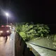 新北石碇82歲翁菜園失蹤　永定國小水潭尋獲遺體