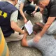 影/海巡破獲跨國毒品案！「人體夾毒」、偽裝腰果　14人全被逮