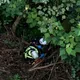 女騎自行車摔落埔里虎頭山15m深邊坡　消防吊掛救出