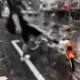 影/疑卡片餘額不足！少年踹YouBike洩憤　業者硬起來提告