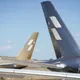 星宇「空山金」藝術機抵桃機　金銀雙機首度同框