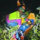 墾丁闖古道遭蜂圍攻雙亡!相驗結果:頭手滿是螫痕休克死